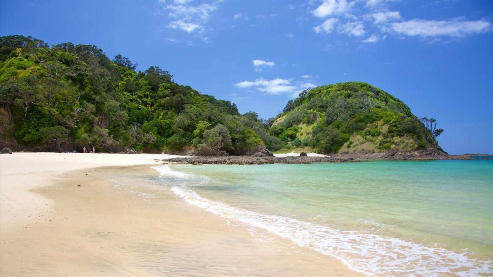 Bk'S Pohutukawa Lodge Фангареи Экстерьер фото
